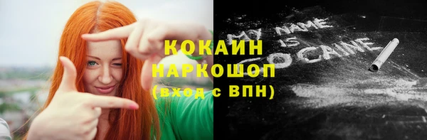 дмт Богородск