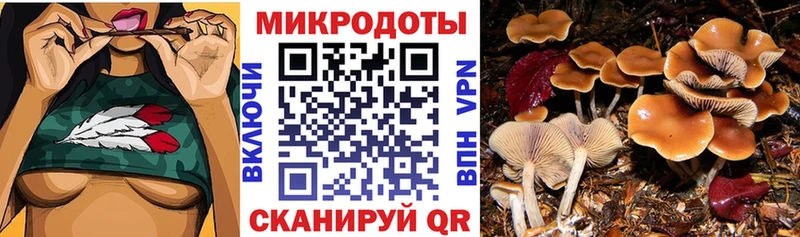 Псилоцибиновые грибы прущие грибы  Нюрба 